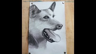 how to draw head of a German shepherd  German shepherd drawing step by step toturial [upl. by Mat]