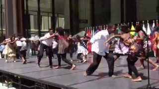 Pata Pata Chicago Sister Cities International South Africa Dance [upl. by Bullis928]