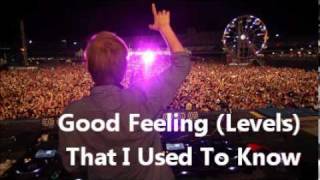 Avicii feat Gotye amp Flo Rida  Good Feeling Levels That I Used To Know [upl. by Hsan]