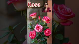 Rose 🌿 Meaning of Rose 🌿 Very Good English 🌿 shorts 🌿 [upl. by Burlie384]