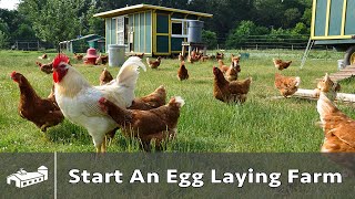 How to Start A Pastured Poultry Egg Farm  AMA S8E1 [upl. by Llehsram683]