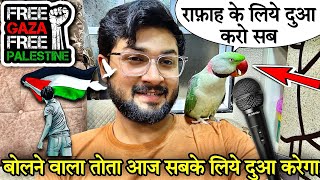 बोलने वाला तोता आज सबके लिए दुआ करेगा  gaza palestine bolnewalatota talkingparrot birds viral [upl. by Llener]