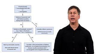 An Approach to Jaundice [upl. by Dougy]