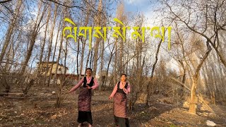 Tibetan new Gorshey  Lase Mala Bhuchung new song Tibetan dance cover tibetangorshey gorshey [upl. by Muir]