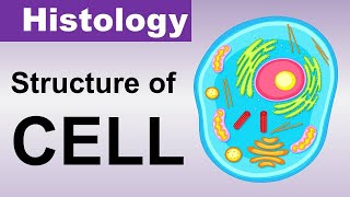 Chp02 Histology Inder Bir Singh  Structure of CELL  Histology Lectures [upl. by Nlocnil507]