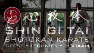 1 jaar Shin Gi Tai karate [upl. by Yenots]