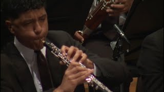 Hamlet Oboe Solo Tchaikovsky [upl. by Yrffej911]