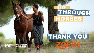 Thank You Zoetis 2024 Seen Through Horses Campaign [upl. by Barri177]