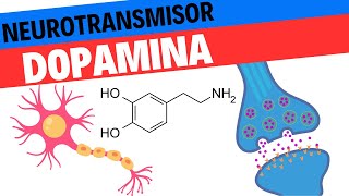 Fisiología de la Dopamina Neurociencias 10 [upl. by Les655]