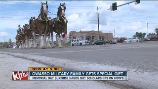 Budweiser Clydesdale deliver special gift to Owasso military family [upl. by Enyalahs374]