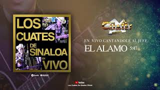 Los Cuates De SInaloa Ft Banda La Llegadora  El Alamo  EN VIVO [upl. by Jedthus]