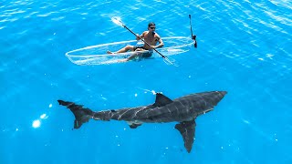 Exploring For Great White Sharks In Transparent Kayak [upl. by Eiduj]