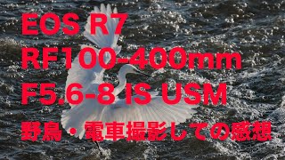 Canon EOS R7ampRF100400mmF568 IS USM撮影しての感想 [upl. by Nelehyram]