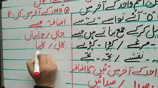 Class OS3  Subject Urdu  Topic Rules of Wahid Jama [upl. by Flin]