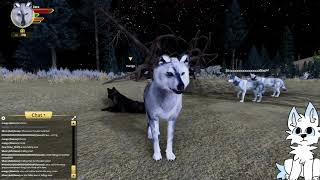 The Spicy Talks  WolfQuest and the Five Challenges [upl. by Etnuahc204]