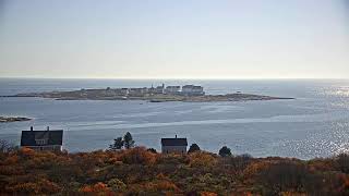 Appledore Island Live [upl. by Kirwin122]