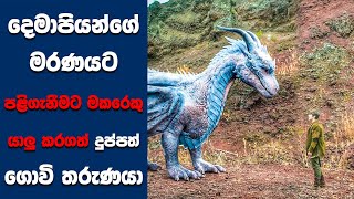 quotDragonheart Vengeance” සිංහල Movie Review  Ending Explained Sinhala  Sinhala Movie Review [upl. by Iddo]