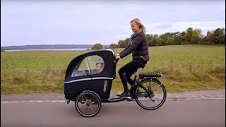 WINTHER KANGAROO CARGO BIKE  CARGOO RVIEW [upl. by Wallache]