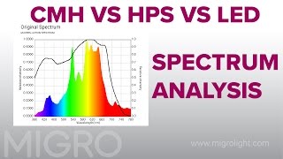 The best grow light 2018  HID CFL amp LED compared [upl. by Solahcin]