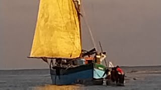 View of the sea water traffic from a Pirogue in Morondava in Madagascar [upl. by Nickerson68]