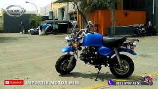 Motor Monkey Gorilla 50cc  Minimotor Unboxing [upl. by Myron]