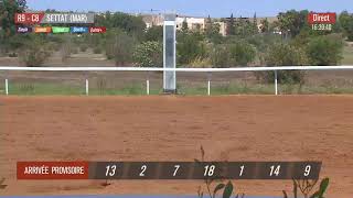 Live Hippodrome « SETTAT »  Courses du « 17062023 » [upl. by Collen]