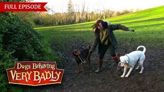 Full episode – Dogs escaping in the country [upl. by Ignace]