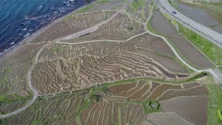 4K 世界農業遺産 白米千枚田 ドローン撮影 Shiroyone Senmaida Drone shot [upl. by Benildas237]