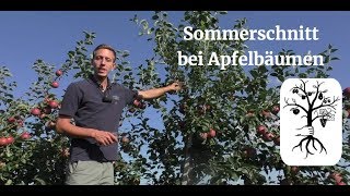 Der Sommerschnitt beim Apfel leicht gemacht  Obstbäume im Sommer schneiden [upl. by Annair508]