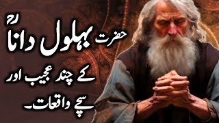 Behlol Dana Ky 20 Waqiaat  Behlol Dana  Behlol Dana In Hindi  Islamic Stories In Hindi [upl. by Nobell717]