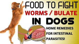 TANGGAL BULATE SA ASO FOODS TO FIGHT WORMS IN DOGS NATURAL DEWORMER FOR INTESTINAL WORMS  Part 2 [upl. by Croft]