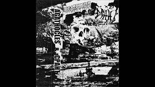 AGATHOCLES amp СРАНЪ  Split 2024  MINCECORE  NOISECORE [upl. by Amelia]