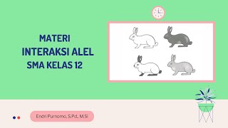 PENYIMPANGAN SEMU HUKUM MENDEL INTERAKSI ALEL SMA KELAS 12GENETIKA SMA KELAS 12BIOLOGI KELAS 12 [upl. by Clougher]