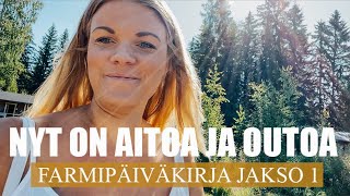 FARMIPÄIVÄKIRJA JAKSO 1 Nyt on aitoa ja outoa 😱 [upl. by Negaet]