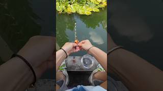 Tinyfishingmicro lure rod for “big”fish microfishing minirod pescador pescar fypシ゚ [upl. by Durrace]