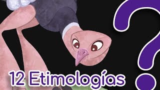 12 Palabras de origen curioso  etimologías [upl. by Eberly]