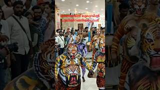 ലുലുവിലെ പുലികളി shortvideo shortfeed lulumall lulu edappally [upl. by Pournaras154]