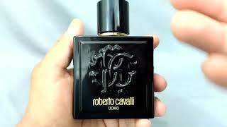 Roberto Cavalli Uomo  Fragrance Review [upl. by Audsley]