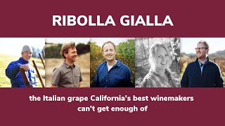 An Exploration of Ribolla Gialla  Wine Access [upl. by Ecinad502]