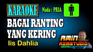 BAGAI RANTING YANG KERING Iis Dahlia KARAOKE Nada PRIA [upl. by Carlina]