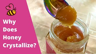 Why Does Honey Crystallize [upl. by Nangem]