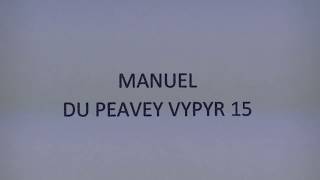 MANUEL DU PEAVEY VYPYR 15 [upl. by Aramoj]