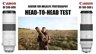 Canon RF 200800 vs RF 100500 Lens Review for Wildlife Photography [upl. by Hakan87]