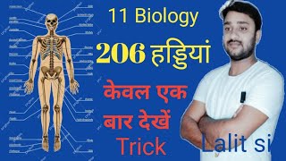 हमारे शरीर में 206 हड्डियों का क्या नाम हैWhat are the 206 bones called 11Biology Lalit sir [upl. by Eelnyl586]