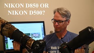 Nikon D850 or Nikon D500  Which One Should You Buy [upl. by Ann]