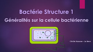 Bactérie Structure 1 BACTERIE [upl. by Wolgast896]