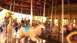 Carousel riding at the Houston Zoo  2014 [upl. by Jayme]