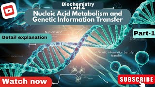 Nucleic acid metabolism and Genetic Information Transfer pharmacy dna education [upl. by Alleira]