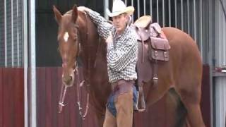 German Martingale Training PT 1 [upl. by Marcia]