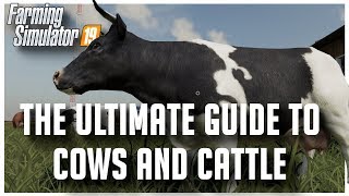 The Ultimate Guide and Tutorial to Cows in Farming Simulator 2019 [upl. by Nilknarf521]